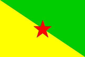 green and yellow flag with a red star