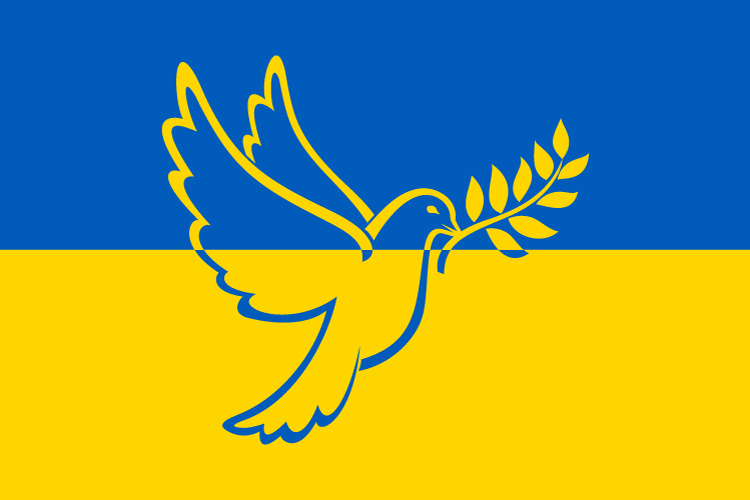 Friedenstaube mit Zweig Ukraine Fahne / Flagge (ca. 150x100cm