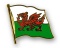 Flaggen-Pin Wales kaufen bestellen Shop Fahne Flagge